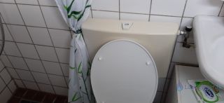 Loodgieter Koog aan de Zaan Reparatie toilet