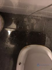 Loodgieter Zwanenburg Defect toilet.