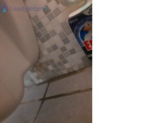 Loodgieter Toilet renovatie toilet repareren (hangend)