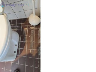 Loodgieter Hengelo Toilet renovatie van staand naar hangend