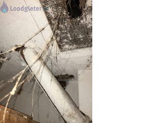 Loodgieter Lekkage lekkage in plafond
