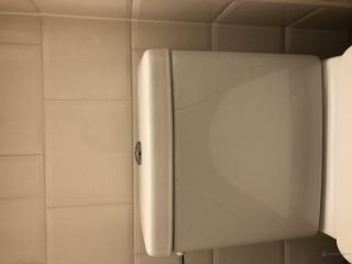 Loodgieter Den Haag Duoblok toilet vervangen incl. softclose bril