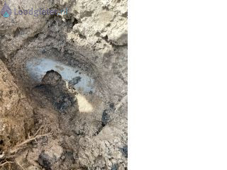 Loodgieter Reparatie riool Riolering geraakt tijdens werkzaamheden