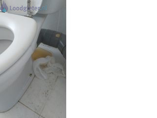 Loodgieter Heerlen Duoblok toilet vervangen